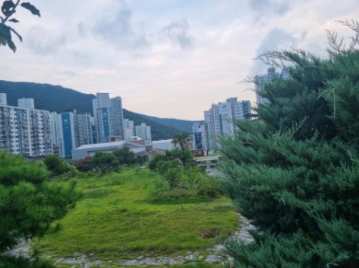 2024타경55617 법원경매 사진14 | 전남 광양시 상가,오피스텔,근린시설 경매