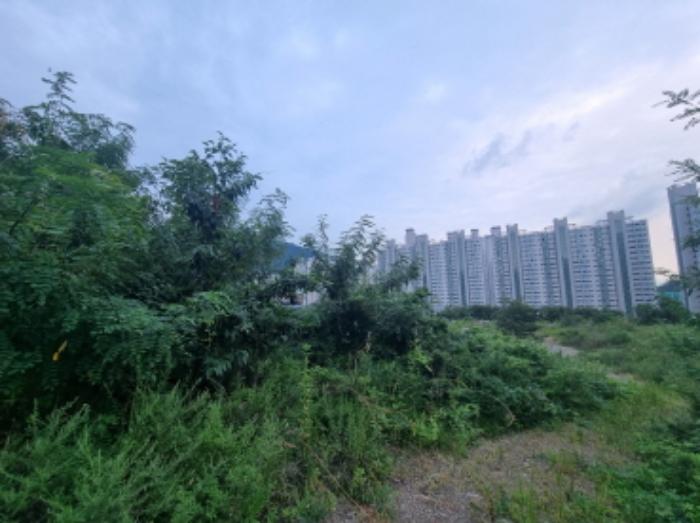 2024타경55617 법원경매 사진33 | 전남 광양시 상가,오피스텔,근린시설 경매
