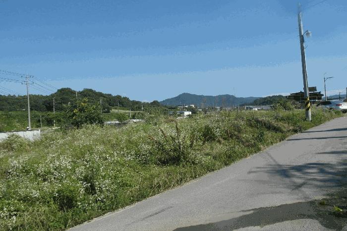 2025타경20377 법원경매 사진35 | 충남 논산시 대지 경매