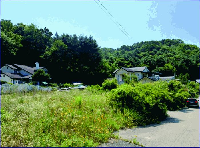 2025타경20387 법원경매 사진3 | 충남 부여군 임야 경매