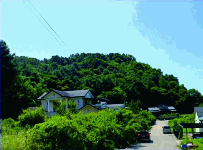2025타경20387 법원경매 사진4 | 충남 부여군 임야 경매