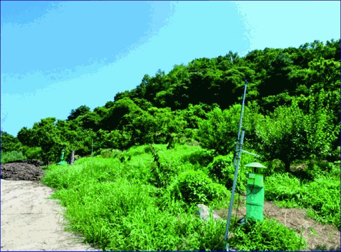 2025타경20387 법원경매 사진5 | 충남 부여군 임야 경매