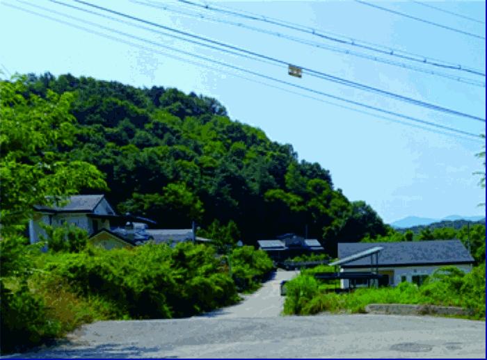 2025타경20387 법원경매 사진7 | 충남 부여군 임야 경매