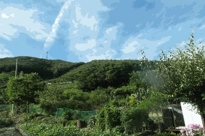 2025타경20397 법원경매 사진12 | 충남 부여군 임야 경매