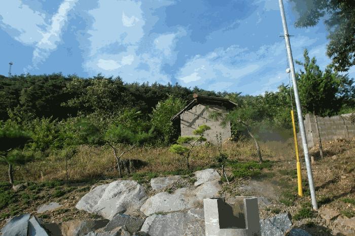 2025타경20397 법원경매 사진13 | 충남 부여군 임야 경매