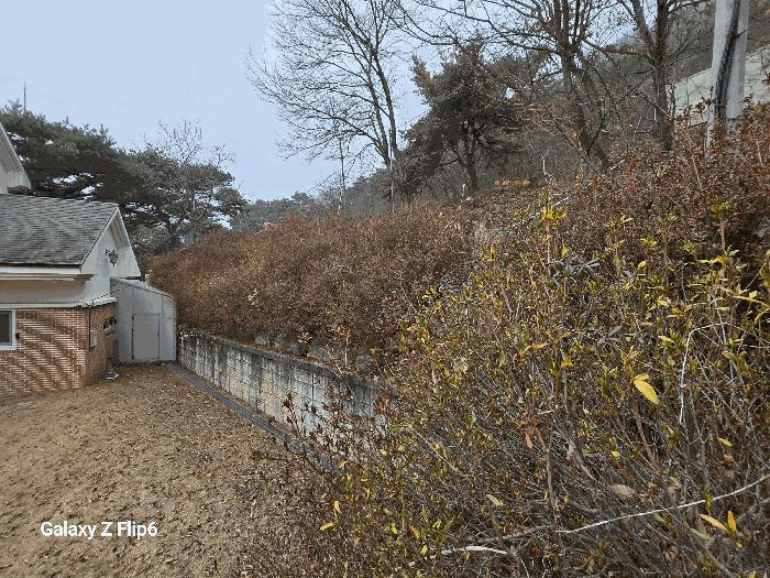2025타경20582 법원경매 사진2 | 충남 논산시 임야 경매