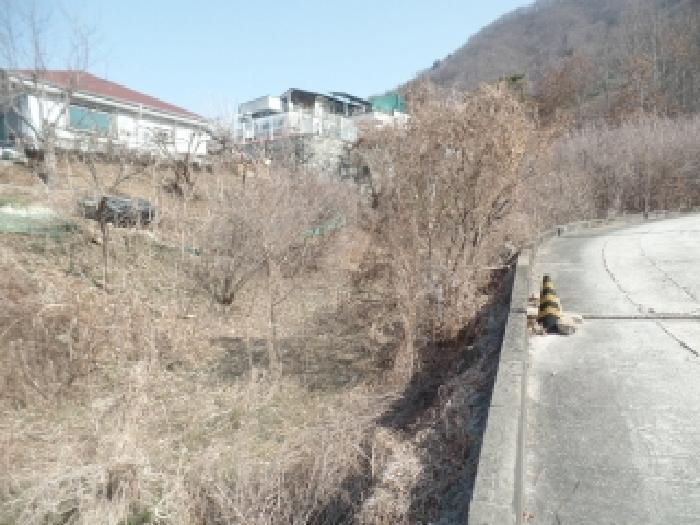 법원경매 2025타경20582 사진12 | 논산시 연산면 신양리 1-35 임야 경매