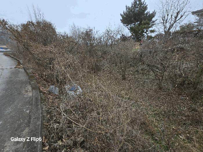 법원경매 2025타경20582 사진6 | 논산시 연산면 신양리 1-35 임야 경매