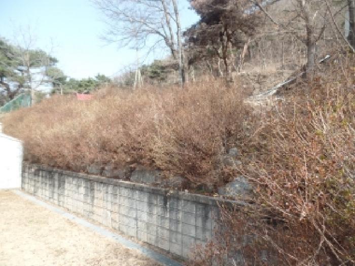 법원경매 2025타경20582 사진8 | 논산시 연산면 신양리 1-35 임야 경매