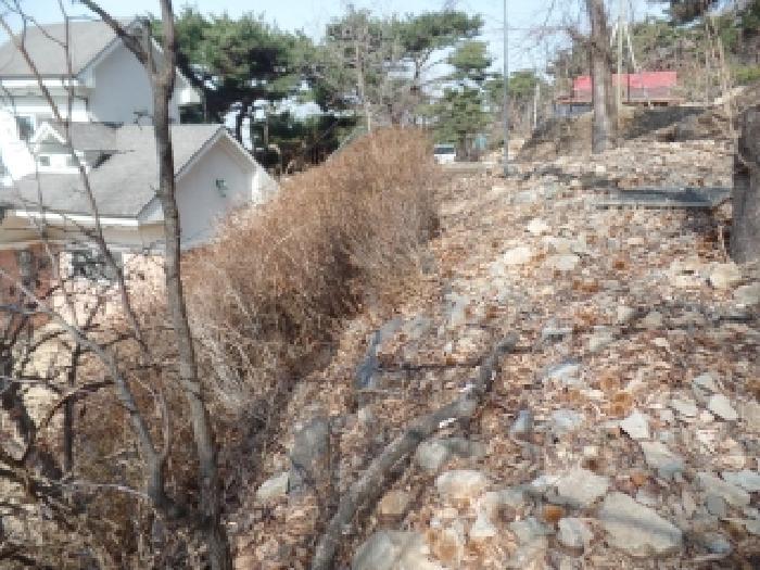 법원경매 2025타경20582 사진9 | 논산시 연산면 신양리 1-35 임야 경매