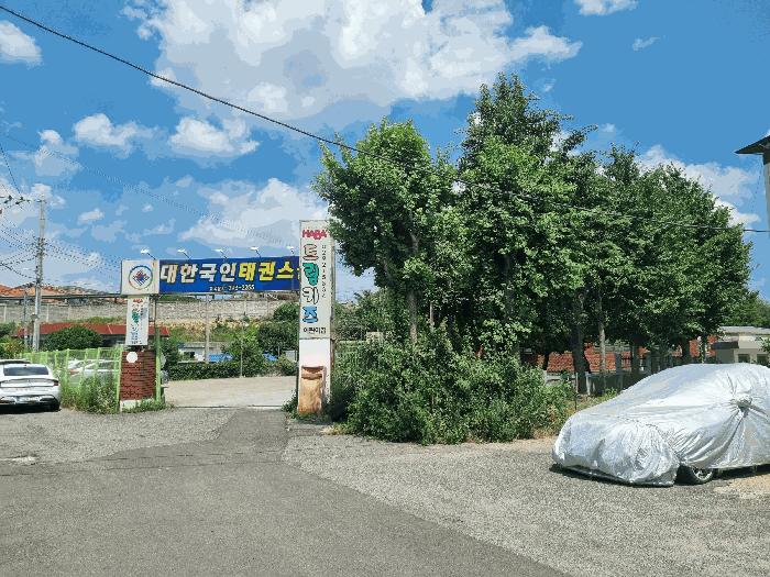 법원경매 2025타경3874 사진3 | 포항시 남구 오천읍 구정리 63-11 근린시설 경매