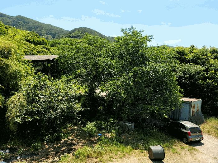 전남 광양시 옥룡면 용곡리 1113 주택 사진 3