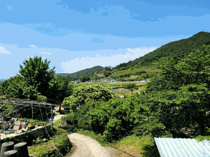 전남 광양시 옥룡면 용곡리 1113 주택 사진 4
