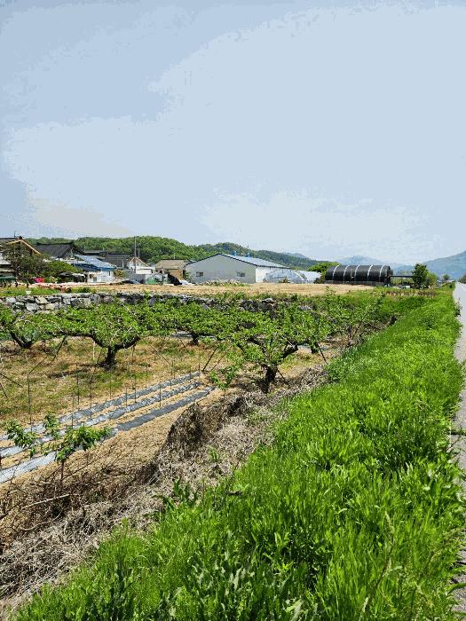 법원경매 2025타경30511 사진4 | 충주시 동량면 용교리 361-2 대지 경매