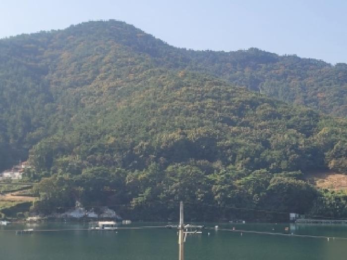 2025타경21880 법원경매 사진3 | 경남 통영시 임야 경매