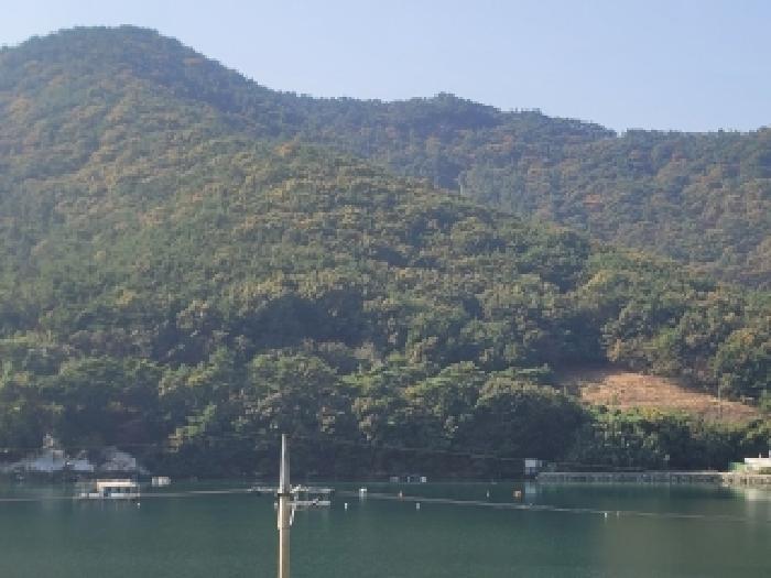 2025타경21880 법원경매 사진4 | 경남 통영시 임야 경매