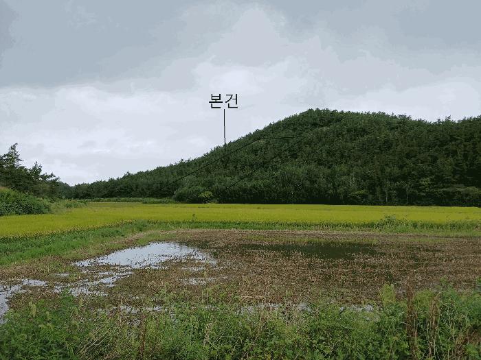 전라남도 신안군 압해읍 신장리 산75-16 법원경매 물건 대표사진