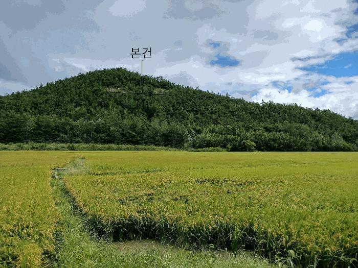 2025타경486 법원경매 사진3 | 전남 신안군 임야 경매