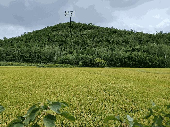 2025타경486 법원경매 사진4 | 전남 신안군 임야 경매