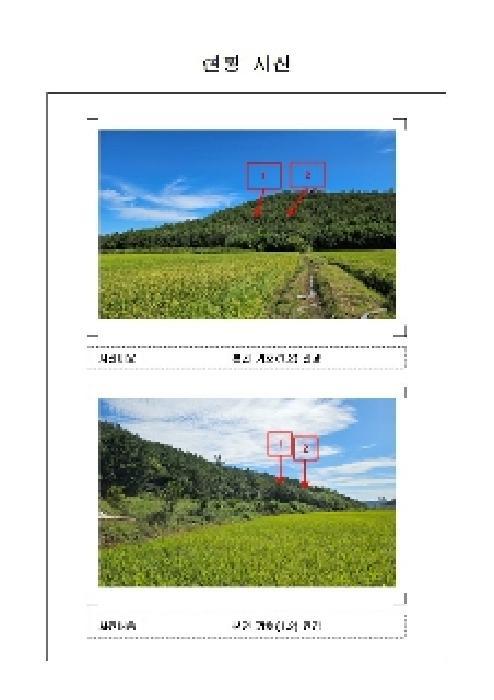 2025타경486 법원경매 사진5 | 전남 신안군 임야 경매