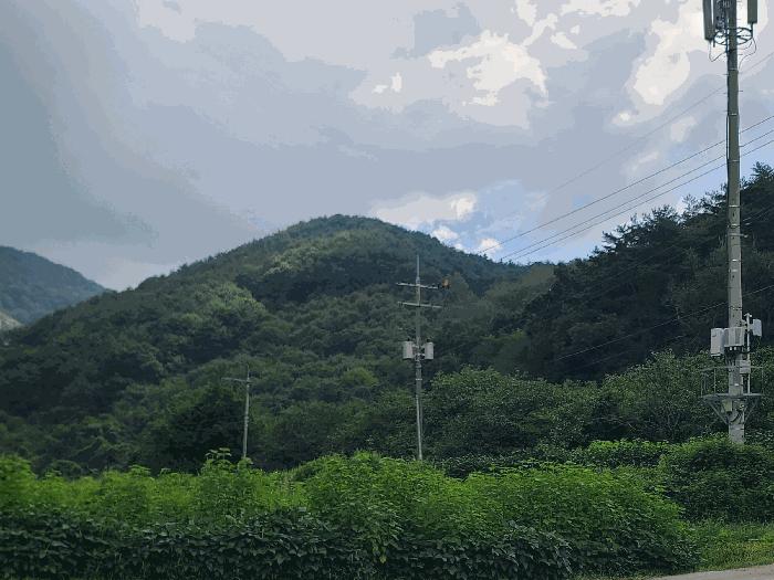 2025타경21938 법원경매 사진2 | 경남 고성군 임야 경매