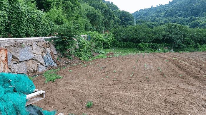 2025타경51751 법원경매 사진5 | 전남 광양시 대지 경매
