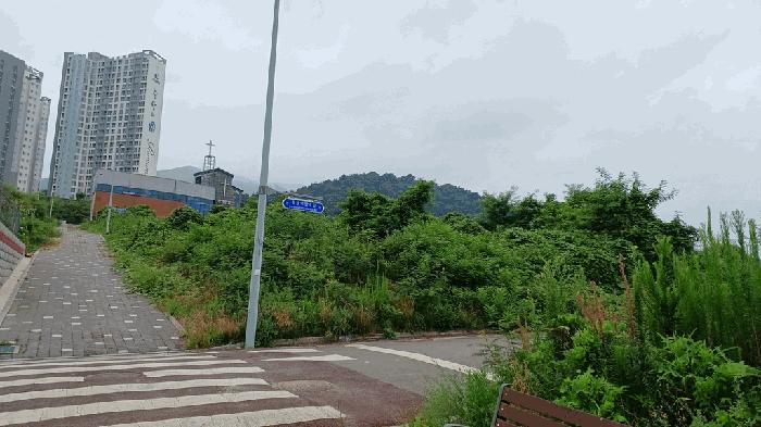 2025타경51751 법원경매 사진7 | 전남 광양시 대지 경매