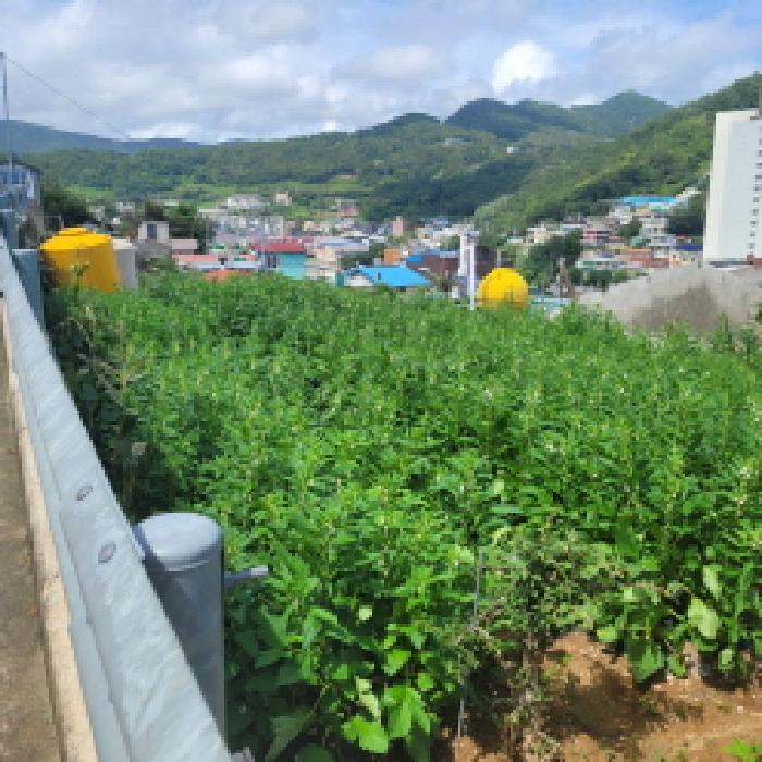 2025타경51856 법원경매 사진12 | 전남 여수시 대지 경매