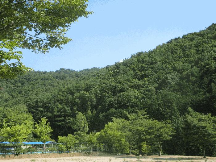 2025타경51862 법원경매 사진3 | 전남 광양시 임야 경매