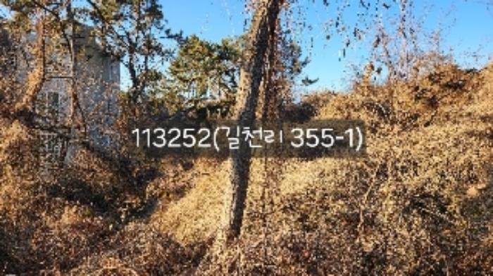 법원경매 2024타경113252 사진11 | 부산 기장군 장안읍 길천리 임야 경매