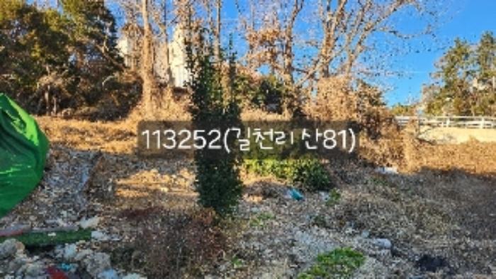 법원경매 2024타경113252 사진14 | 부산 기장군 장안읍 길천리 임야 경매