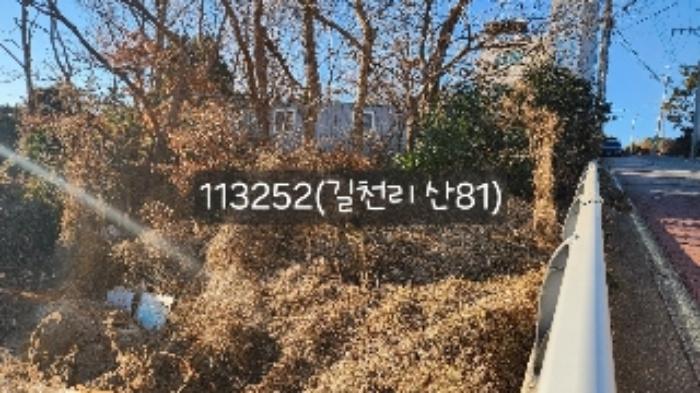 법원경매 2024타경113252 사진17 | 부산 기장군 장안읍 길천리 임야 경매