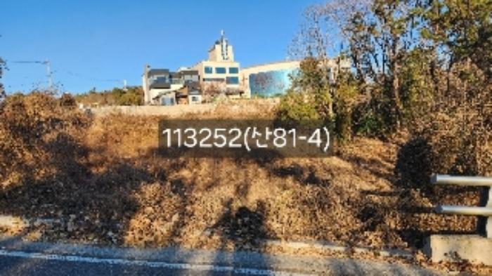 법원경매 2024타경113252 사진18 | 부산 기장군 장안읍 길천리 임야 경매