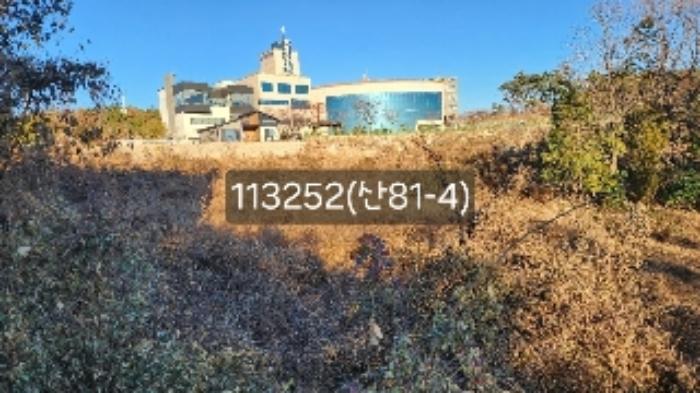 법원경매 2024타경113252 사진19 | 부산 기장군 장안읍 길천리 임야 경매