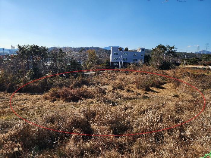 법원경매 2024타경113252 사진2 | 부산 기장군 장안읍 길천리 임야 경매