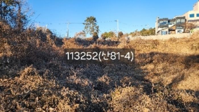 법원경매 2024타경113252 사진20 | 부산 기장군 장안읍 길천리 임야 경매