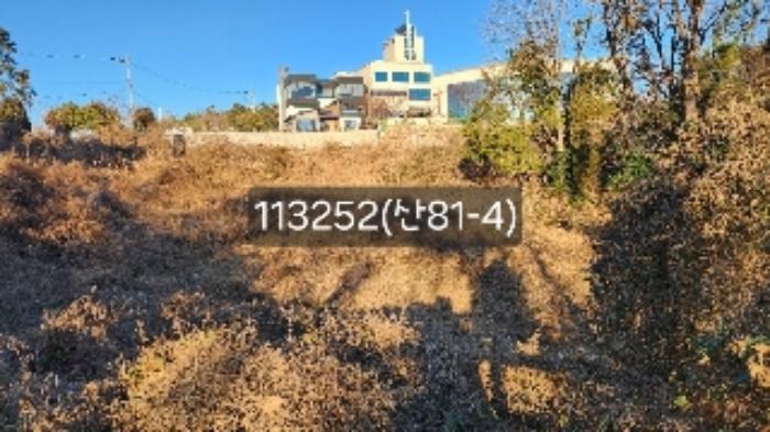 법원경매 2024타경113252 사진21 | 부산 기장군 장안읍 길천리 임야 경매