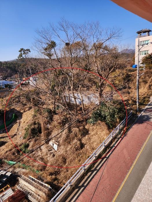 법원경매 2024타경113252 사진23 | 부산 기장군 장안읍 길천리 임야 경매