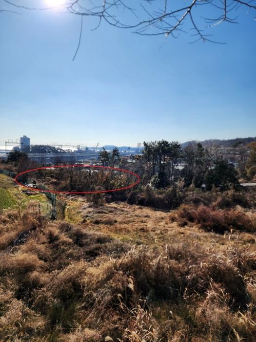 법원경매 2024타경113252 사진3 | 부산 기장군 장안읍 길천리 임야 경매