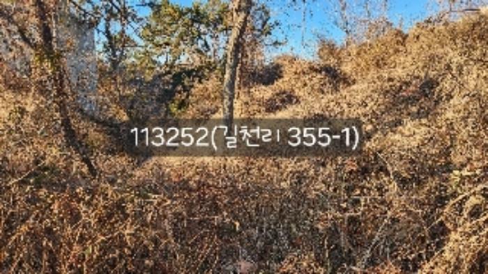 법원경매 2024타경113252 사진10 | 부산 기장군 장안읍 길천리 임야 경매