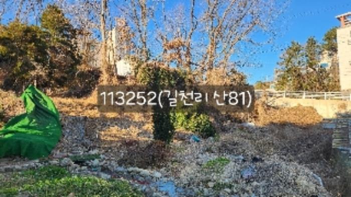 법원경매 2024타경113252 사진16 | 부산 기장군 장안읍 길천리 임야 경매