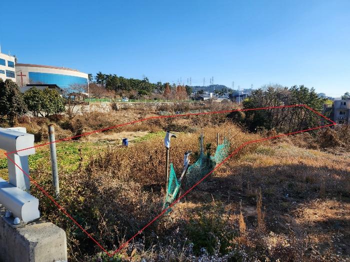법원경매 2024타경113252 사진6 | 부산 기장군 장안읍 길천리 임야 경매