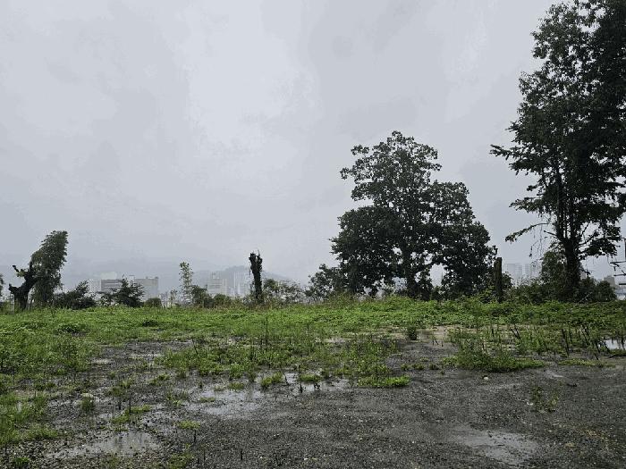 2025타경51868 법원경매 사진37 | 전남 순천시 대지 경매