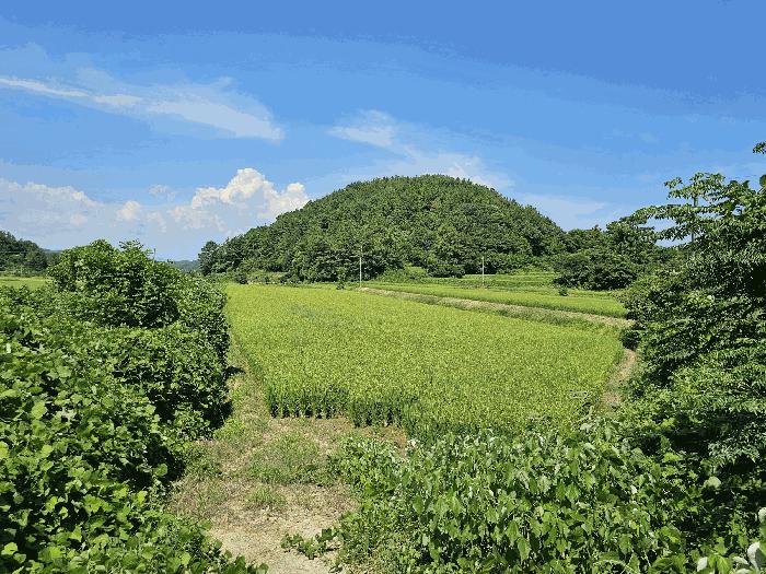 전라남도 고흥군 과역면 도천리 1375 법원경매 물건 대표사진