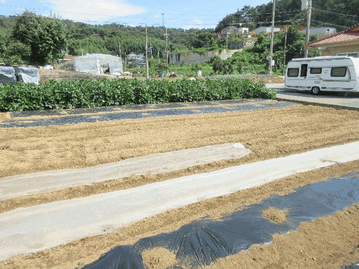 2025타경51928 법원경매 사진4 | 전남 여수시 대지 경매