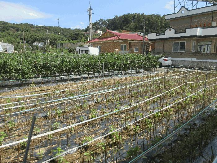 2025타경51928 법원경매 사진8 | 전남 여수시 대지 경매