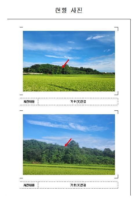 법원경매 2025타경51384 사진3 | 영암군 시종면 구산리 임야 경매