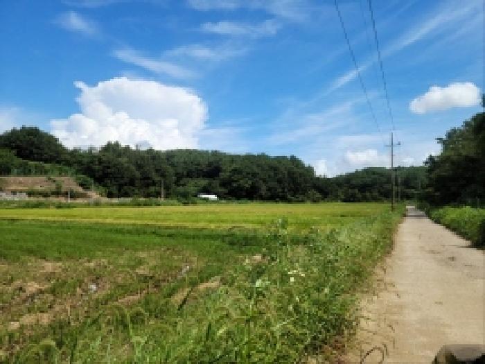 2025타경52019 법원경매 사진13 | 전남 고흥군 답 경매