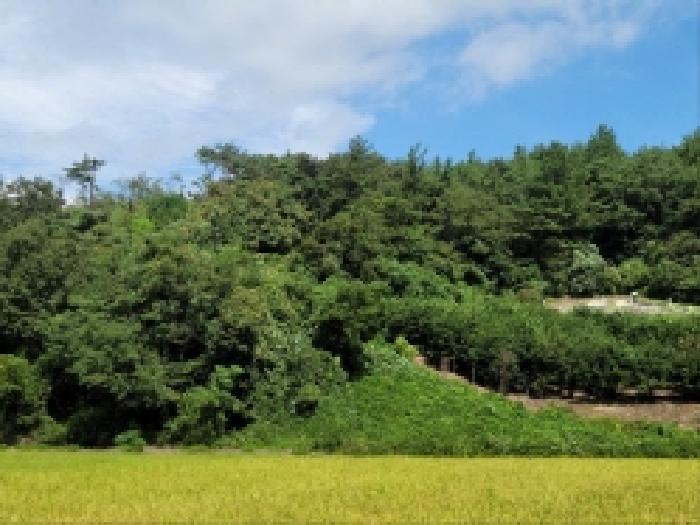 2025타경52019 법원경매 사진22 | 전남 고흥군 답 경매