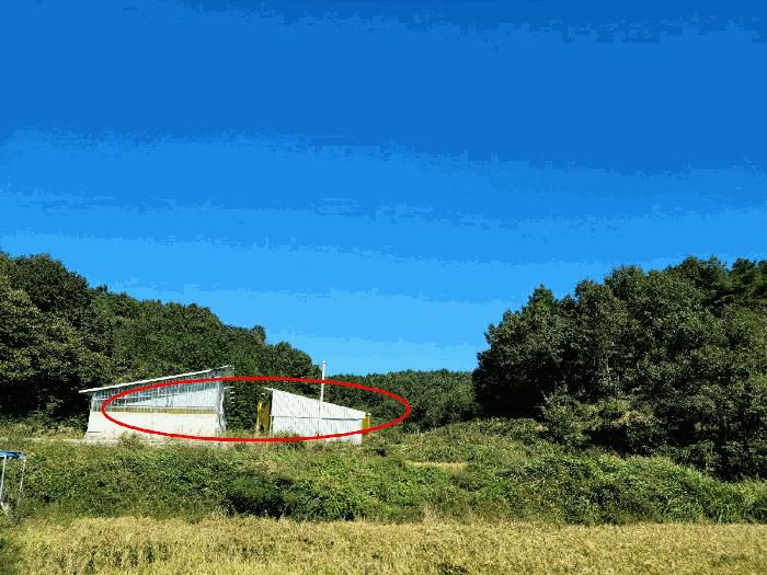 전라남도 보성군 보성읍 원봉리 391 법원경매 물건 대표사진